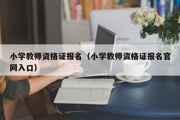 小学教师资格证报名（小学教师资格证报名官网入口）